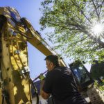 Tree Preservation Plans
