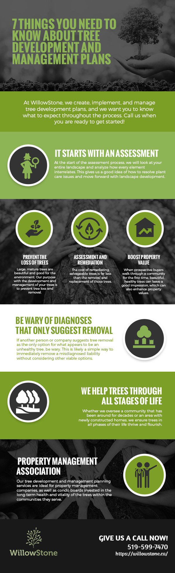 7 Things You Need to Know About Tree Development and Management Plans [infographic]
