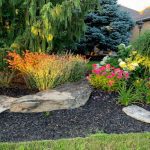 Garden Pests