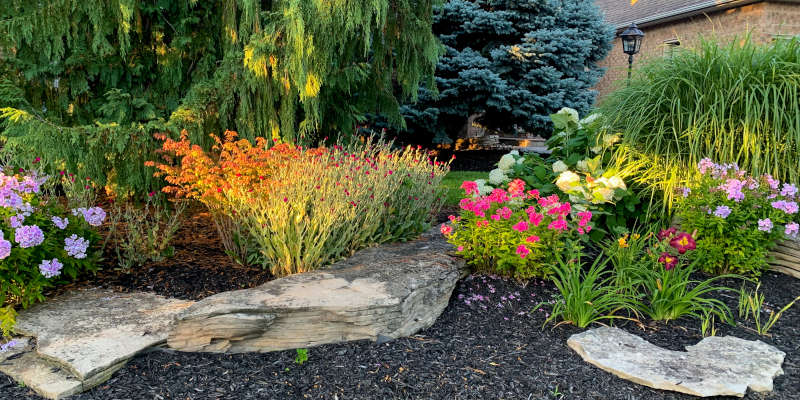 Garden Pests in Collingwood, Ontario
