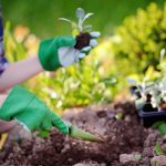 HOA Landscape Management
