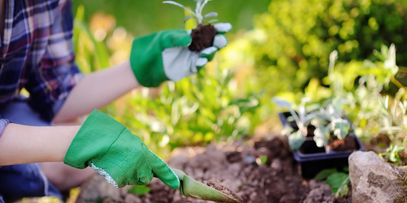 HOA Landscape Management in Collingwood, Ontario