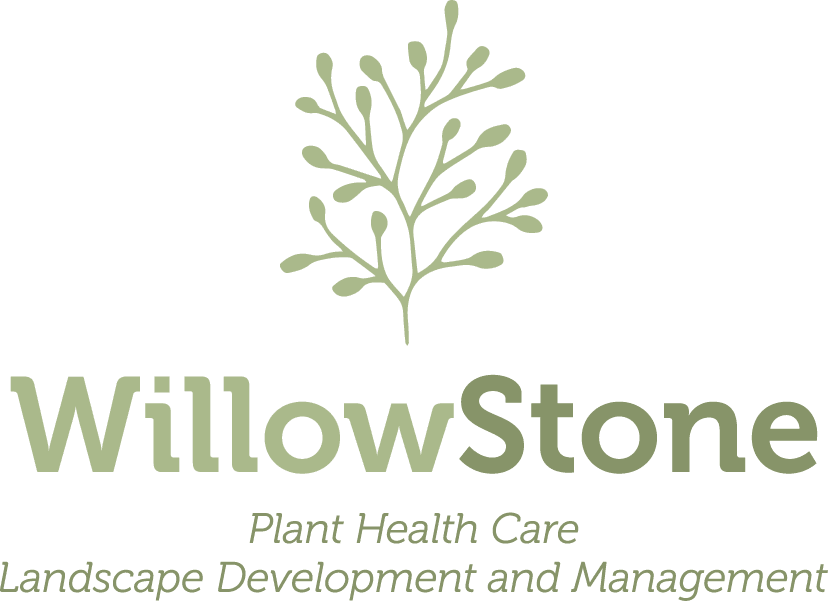 WillowStone
