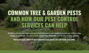 Common Tree & Garden Pests in Collingwood – And How Our Pest Control Services Can Help