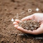 Soil Testing