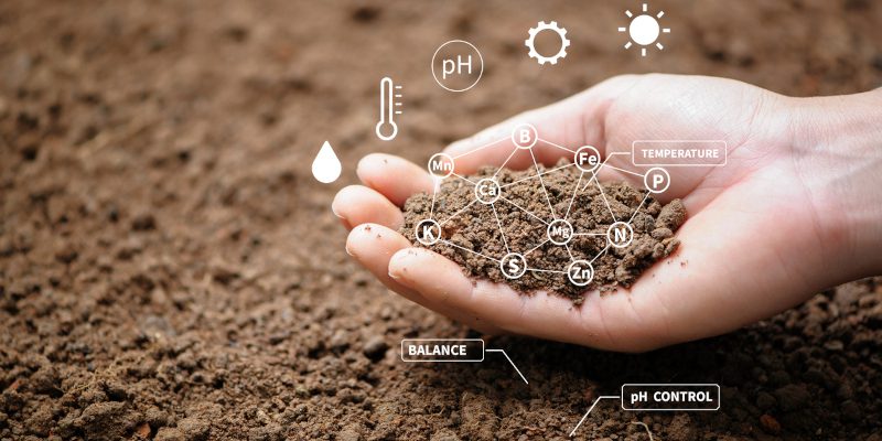 Soil Testing in Collingwood, Ontario