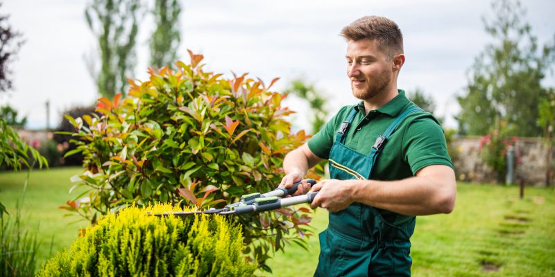 Horticultural Services in Collingwood, Ontario