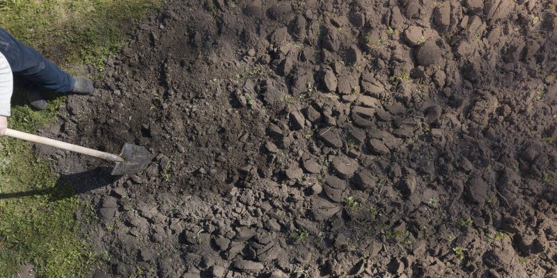 Soil Decompaction in Collingwood, Ontario